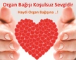 Doku ve Organ Bağışı Nedir? Doku ve Organ Bağışı Nedir?